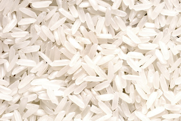 close up shot of the rice background