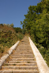 Treppe in den Wald