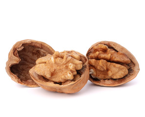 walnut
