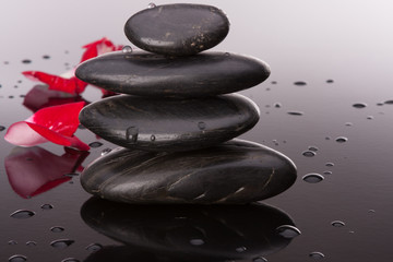 Spa stone and flower petal still life. Healthcare concept.