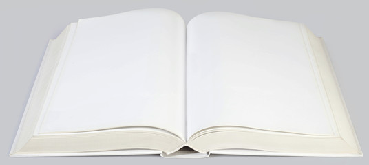 Middle of the Book Cutout