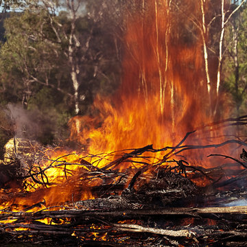 Roaring hot fire in Australian bush