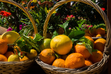 Oranges and Flowers