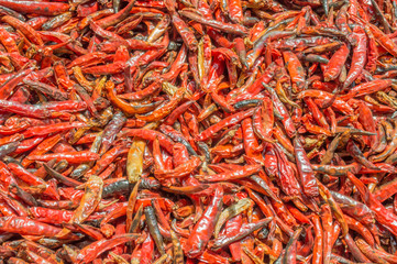 Fototapeta premium Dried Red Hot Chili