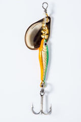 fishing hook with bait © Evgenia Tiplyashina