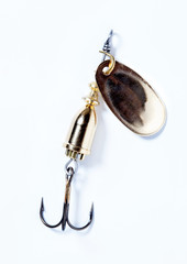 fishing hook with bait © Evgenia Tiplyashina