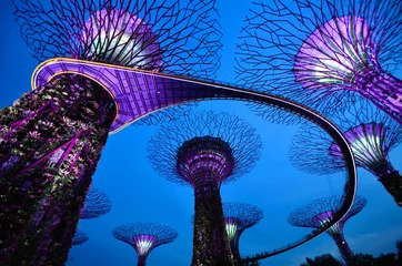 Foto auf Acrylglas Singapur Supertrees in den Gardens by the Bay in Singapur