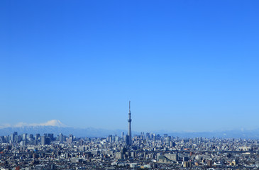 Naklejka premium 東京都心の風景 富士山とスカイツリーと青空