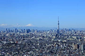 Foto op Plexiglas 東京都心の風景　富士山とスカイツリー © takadahirohito