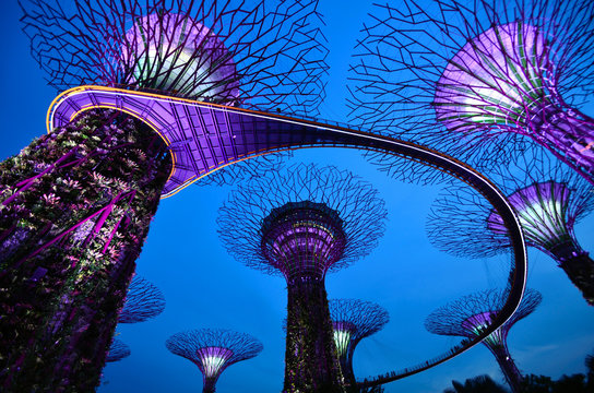 Supertrees at Gardens by the Bay in Singapore
