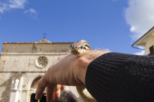 San Domenico Abate "Il rito dei serpari" - Cocullo