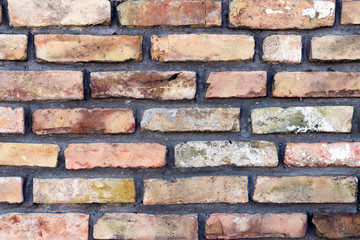 Fototapeta premium Background texture of a brick wall