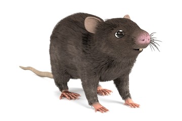realistic 3d render of mouse