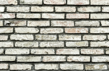 Obraz premium Background texture of a brick wall
