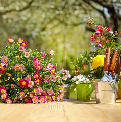 Outdoor gardening tools and flowers on old wood table