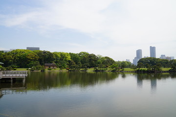 Fototapeta premium 浜離宮の景色