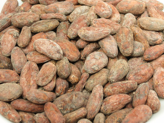 cocoa beans