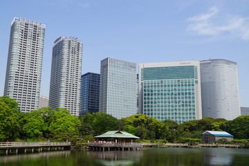浜離宮　潮入の池と汐留高層ビル群