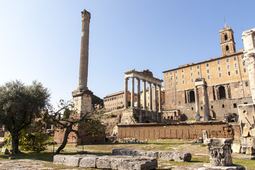 Fototapeta na wymiar Forum Romanum - Rzym