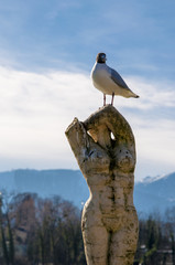 posieren