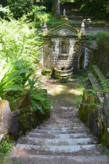 überwachsener Brunnen im Mata do Bussaco