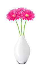 beautiful pink gerbera daisy flowers in vase isolated on white