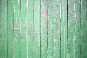 rustic green panel