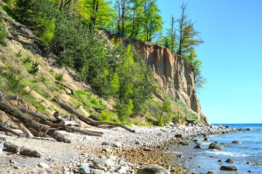 Fototapeta Cliff of Orlowo at Baltic sea, Poland