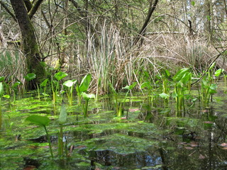 naturschutz