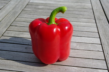 Rote Paprika 22