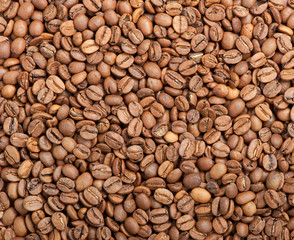 Coffee beans