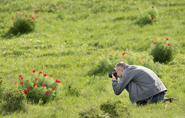Fototapete bei efototapeten.de bestellen   