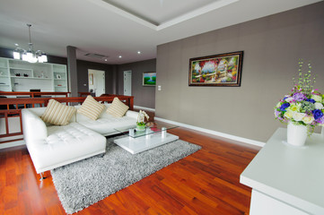 Living room interior