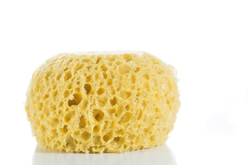 Sponge