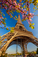 Plakaty  Wieża Eiffla wiosną w Paryżu, Francja