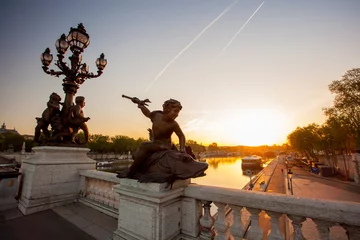 Photo sur Plexiglas Pont Alexandre III Bridge of Alexander III in Paris against sunset in France