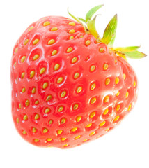 strawberry texture