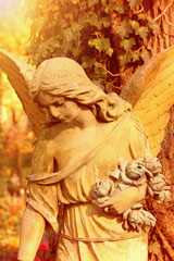 Figure Of  Angel