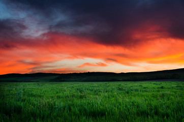 Fototapeta premium night background