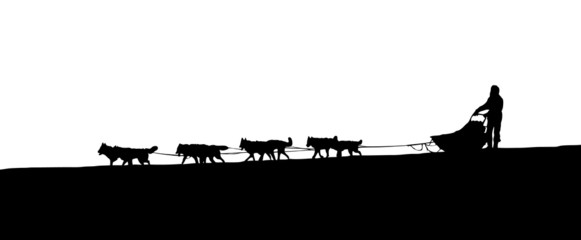 silhouette of a dog sled