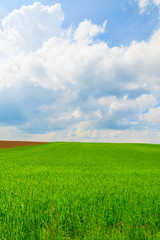 Obraz na płótnie Canvas Green farming field white clouds, Burgenland, Austria