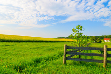 Fototapeta na wymiar Wooden pasture fence on green farming field, Burgenland, Austria