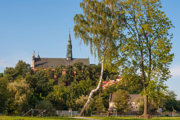 Naklejka premium Sandomierz