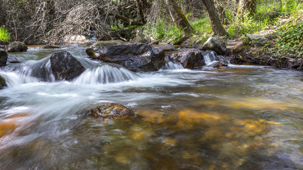 River landscape