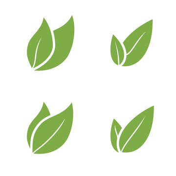 Leaf Pair Icon Vector Illustrations on Both Solid