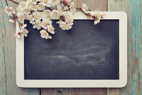 Fototapeta Branch with framed blackboard