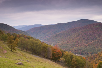 Fall Mountain Scenic
