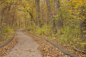 Obraz premium Fall Trail Scenic