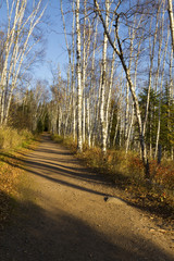 Fall Trail Scenic