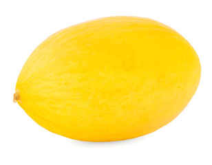 Melon